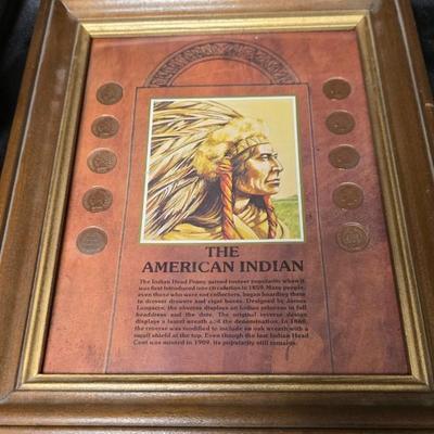 Framed Indian Head Penny Collection The American Indian 1901–1907 Coin Set