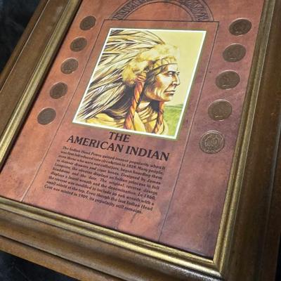 Framed Indian Head Penny Collection The American Indian 1901–1907 Coin Set