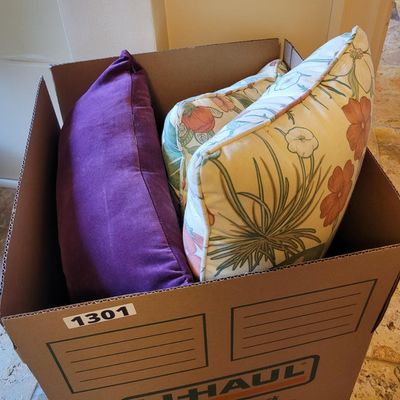 1301 - Box of Pillows