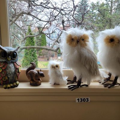 1303 - Lot of 6 Owls / Squirrel and Wall Sign