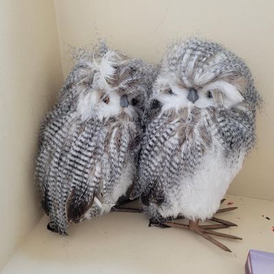 1303 - Lot of 6 Owls / Squirrel and Wall Sign