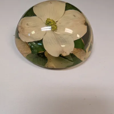 Vintage W. Rolfe Acrylic Lucite Paperweight w/ Dogwood Flower - Signed