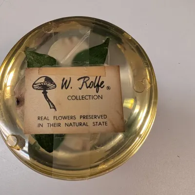 Vintage W. Rolfe Acrylic Lucite Paperweight w/ Dogwood Flower - Signed