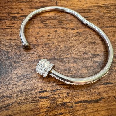 Cute And Sparkly Stainless Steel Bangle K2