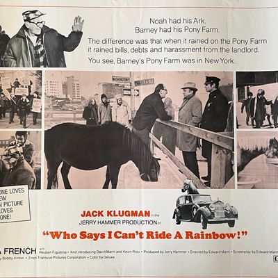 Who Says I Can't Ride a Rainbow! 1971 vintage movie poster