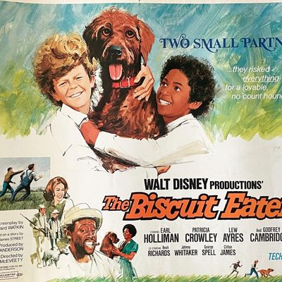 The Biscuit Eater 1972 vintage movie poster