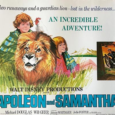 Napoleon and Samantha 1972 vintage movie poster