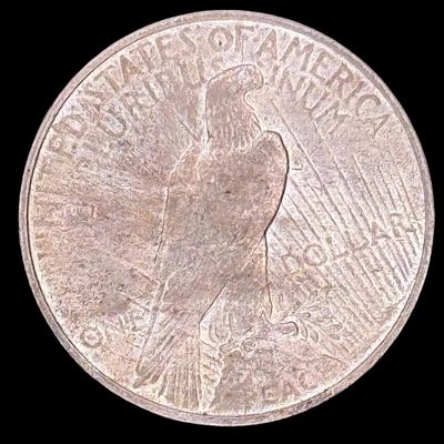 Sale Photo Thumbnail #167: This 1924 Peace dollar is not graded. The silver content is 90%. [PM]