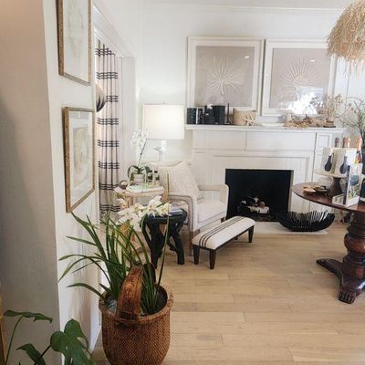 Sale Photo Thumbnail #20: artwork, planters, pillows and lighting
