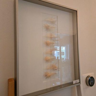 Sale Photo Thumbnail #120: museum mount shell art 