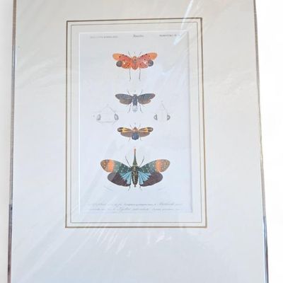 Sale Photo Thumbnail #122: Antique and vintage prints