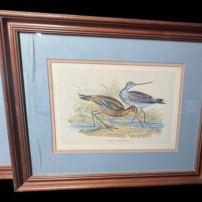 Sale Photo Thumbnail #628: These vintage pieces have been professionally framed and matted. One features the Dusky Totanus, and the other features the Black Tailed Gotwit. There are no stains, foxing, or other issues with these original lithographs. Measurement: 26.5”W x 22”H (
