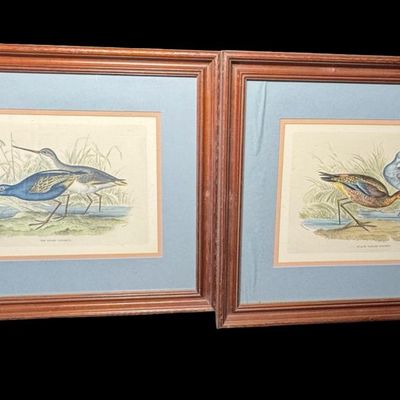 Sale Photo Thumbnail #627: These vintage pieces have been professionally framed and matted. One features the Dusky Totanus, and the other features the Black Tailed Gotwit. There are no stains, foxing, or other issues with these original lithographs. Measurement: 26.5”W x 22”H (