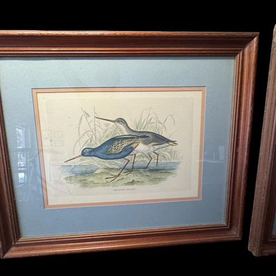Sale Photo Thumbnail #629: These vintage pieces have been professionally framed and matted. One features the Dusky Totanus, and the other features the Black Tailed Gotwit. There are no stains, foxing, or other issues with these original lithographs. Measurement: 26.5”W x 22”H (