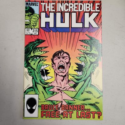 Incredible Hulk Vol. 1 Issue 315 01/01/1986