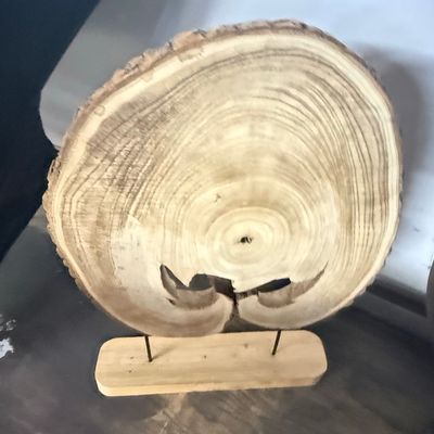 Sale Photo Thumbnail #313: Live Edge Walnut Wood Slab Sculpture on Stand
