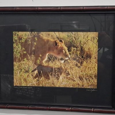 Sale Photo Thumbnail #391: Wildlife Photography Print: Lion and Cub in Masai Mara 1'10"x1'5"