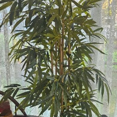 6' tall artificial bamboo plant