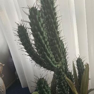 3' tall artificial cactus plant