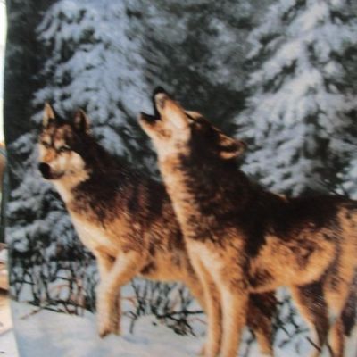 Sale Photo Thumbnail #46: 47" x 54", see pictures