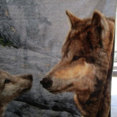 Sale Photo Thumbnail #51: 46" x 63",see pictures