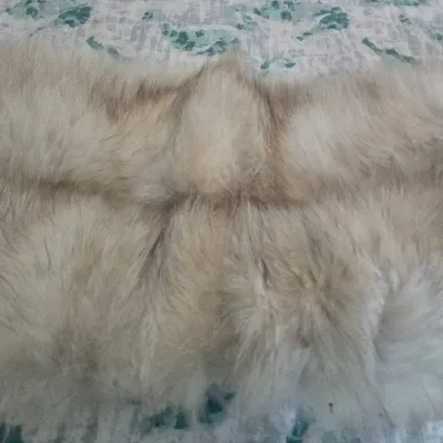 Sale Photo Thumbnail #38: Mademoiselle Furs Stole In Original Box
shall fur is believed to be silver fox, Complete original label and box.
No loss of fur, no stains on satin lining, no damage.
[CTBVen]