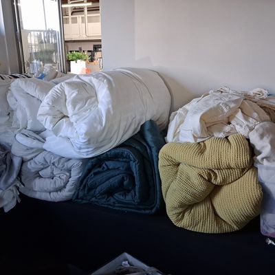 Assorted Staging Textiles and Bedding Lot
