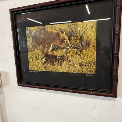 Sale Photo Thumbnail #161: Cari Zellan Signed Lioness and Cub Photograph