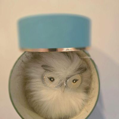 Kate Sp[ade key chain owl NEW IN BOX with tags