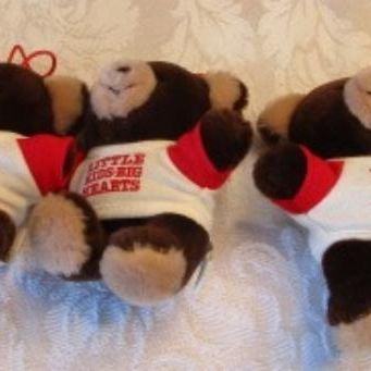 Sale Photo Thumbnail #597: Tan bear is a Cheesecake Factory bear, 6 little bears' shirts have "Little kids with big hearts" on them, Disney Donald Duck, see pictures
