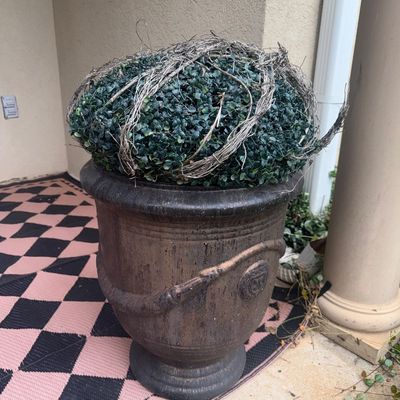2p Topiaries