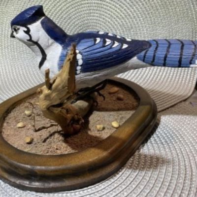 Sale Photo Thumbnail #264: Hand Carved & Hand Painted Signed by Artist BLUEJAY Wooden Bird on Driftwood with Custom Made Base Bird & Base are 9.5" Long Dated 1994. $15 DOMESTIC INHOUSE SHIPPING.