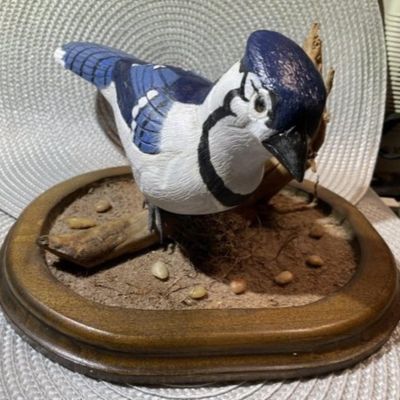 Sale Photo Thumbnail #262: Hand Carved & Hand Painted Signed by Artist BLUEJAY Wooden Bird on Driftwood with Custom Made Base Bird & Base are 9.5" Long Dated 1994. $15 DOMESTIC INHOUSE SHIPPING.