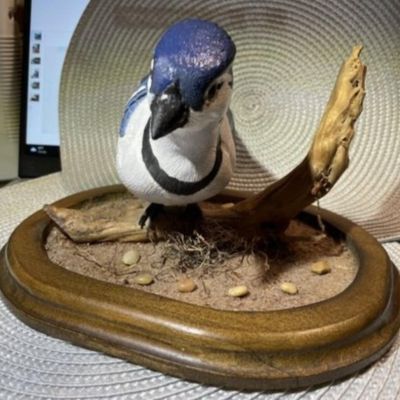 Sale Photo Thumbnail #266: Hand Carved & Hand Painted Signed by Artist BLUEJAY Wooden Bird on Driftwood with Custom Made Base Bird & Base are 9.5" Long Dated 1994. $15 DOMESTIC INHOUSE SHIPPING.
