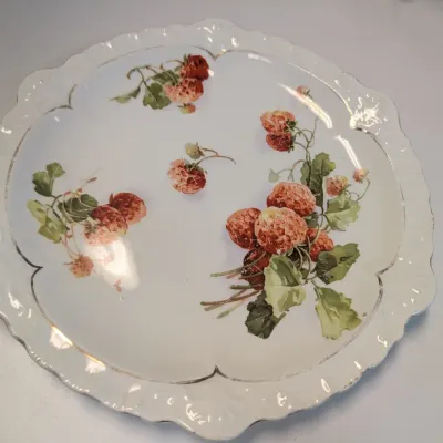 Hand-painted Beyer & Brock Rudolstadt Dish, Sevres & Limoges LDBC Flambeau Porcelain Plates #17