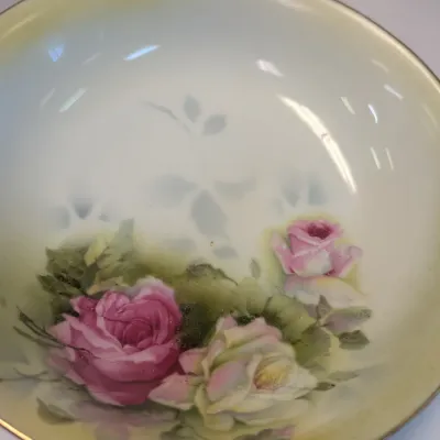 Hand-painted Beyer & Brock Rudolstadt Dish, Sevres & Limoges LDBC Flambeau Porcelain Plates #17