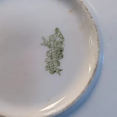 Hand-painted Beyer & Brock Rudolstadt Dish, Sevres & Limoges LDBC Flambeau Porcelain Plates #17