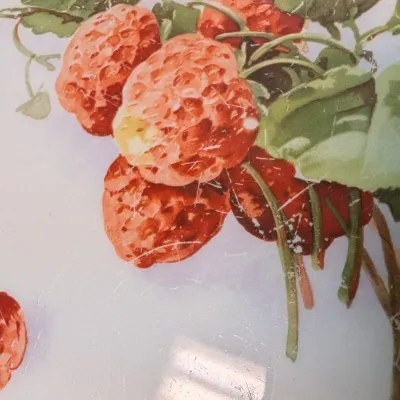 Hand-painted Beyer & Brock Rudolstadt Dish, Sevres & Limoges LDBC Flambeau Porcelain Plates #17