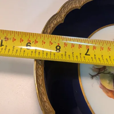 Rosenthal Antique Handpainted Fruit Plate & Server