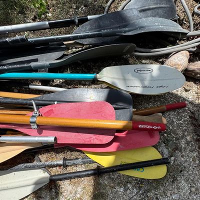 Sale Photo Thumbnail #231: Includes canoe paddles, kayak paddles, paddle board paddles, and more. Total of 15+ pieces.