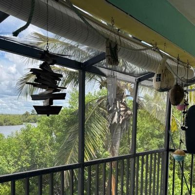 Sale Photo Thumbnail #401: Includes vintage crab trap buoys, whirligigs, painted coconuts, and more. Winning bidder must take these down.