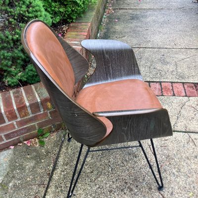 Sirio Modern Curved Wood Shell Armchair Brown