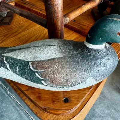 Vintage hand carved -painted Mallard Drake decoy
