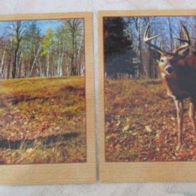 Sale Photo Thumbnail #287: See pictures
