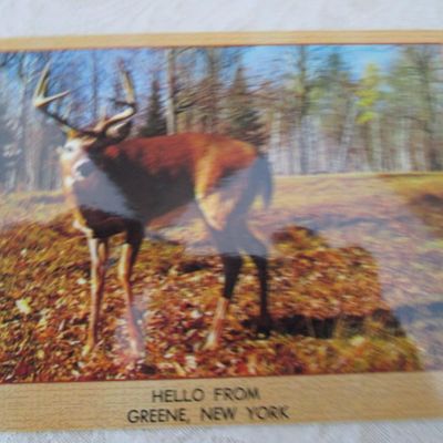 Sale Photo Thumbnail #300: See pictures