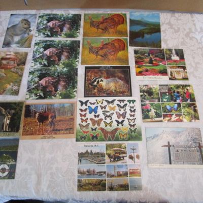 Sale Photo Thumbnail #291: See pictures