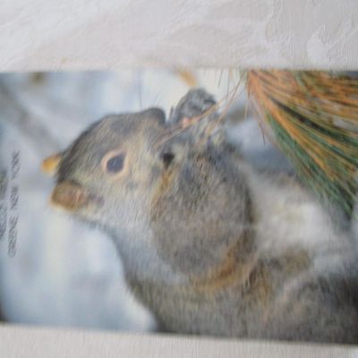 Sale Photo Thumbnail #304: See pictures