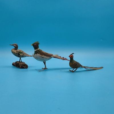 Sale Photo Thumbnail #154