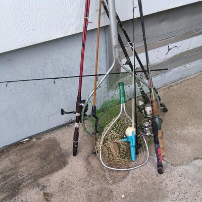 Lot of Fishing Rods, Spinning Reels & Landing Nets — includes Ugly Stik