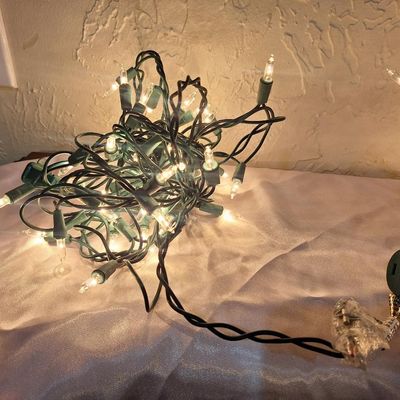 Two Strands of Warm White Christmas Mini Lights
